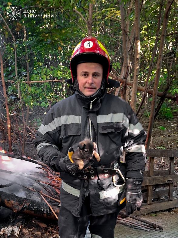 Ілюстрація до матеріалу